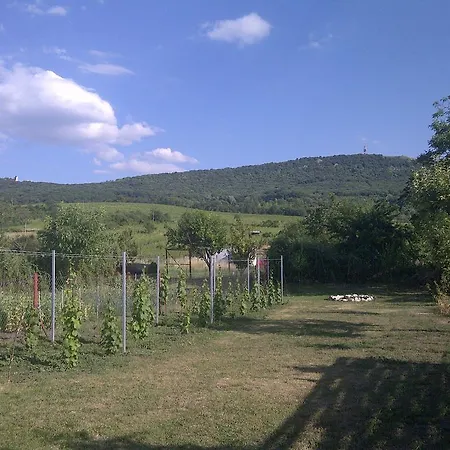 Apartment Apartman Na Palave Dolni Vestonice