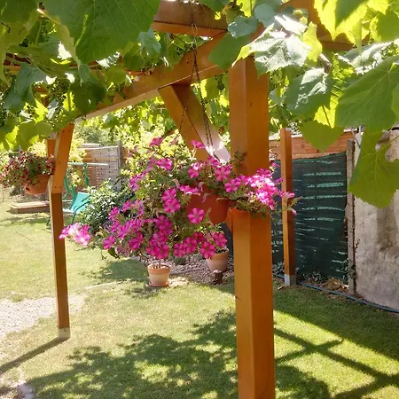 Apartment Apartman Na Palave *