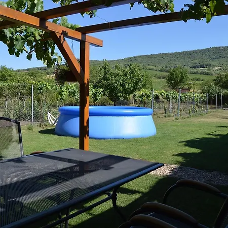 Apartman Na Palave * Dolni Vestonice