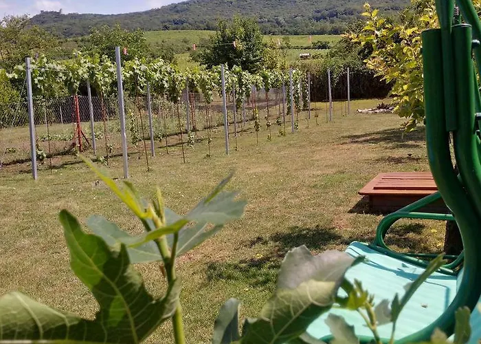 Apartman Na Palave Dolni Vestonice