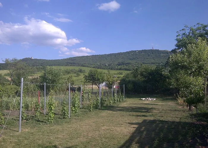 Apartment Apartman Na Palave Dolni Vestonice